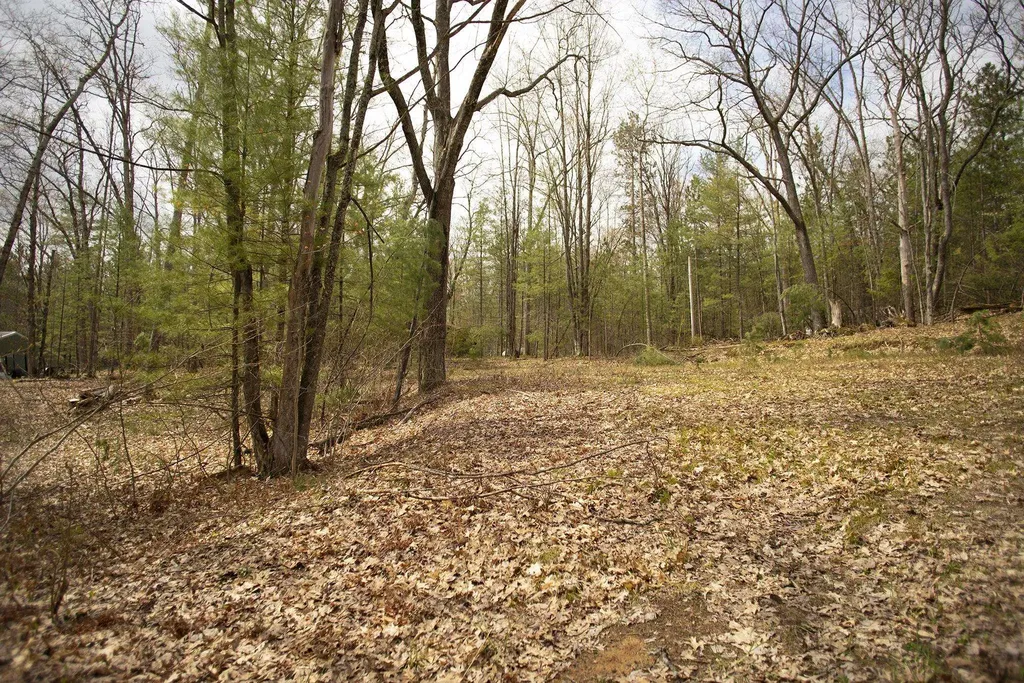 00 NE Bailey Street Bear Lake Township MI 49646