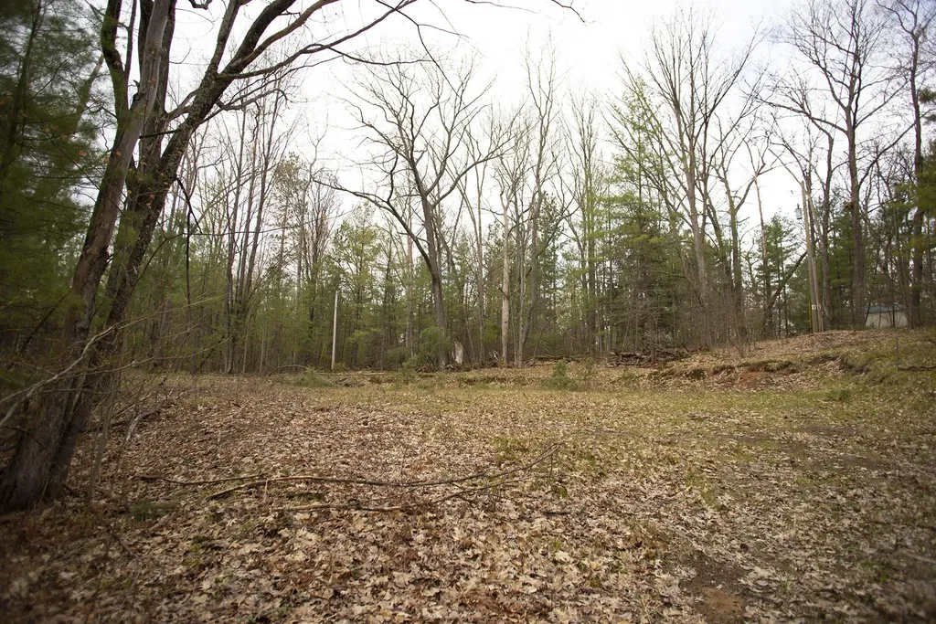 00 NE Bailey Street Bear Lake Township MI 49646