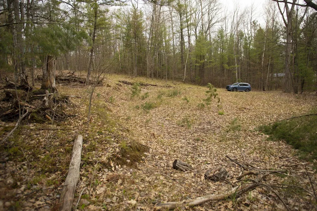 00 NE Bailey Street Bear Lake Township MI 49646