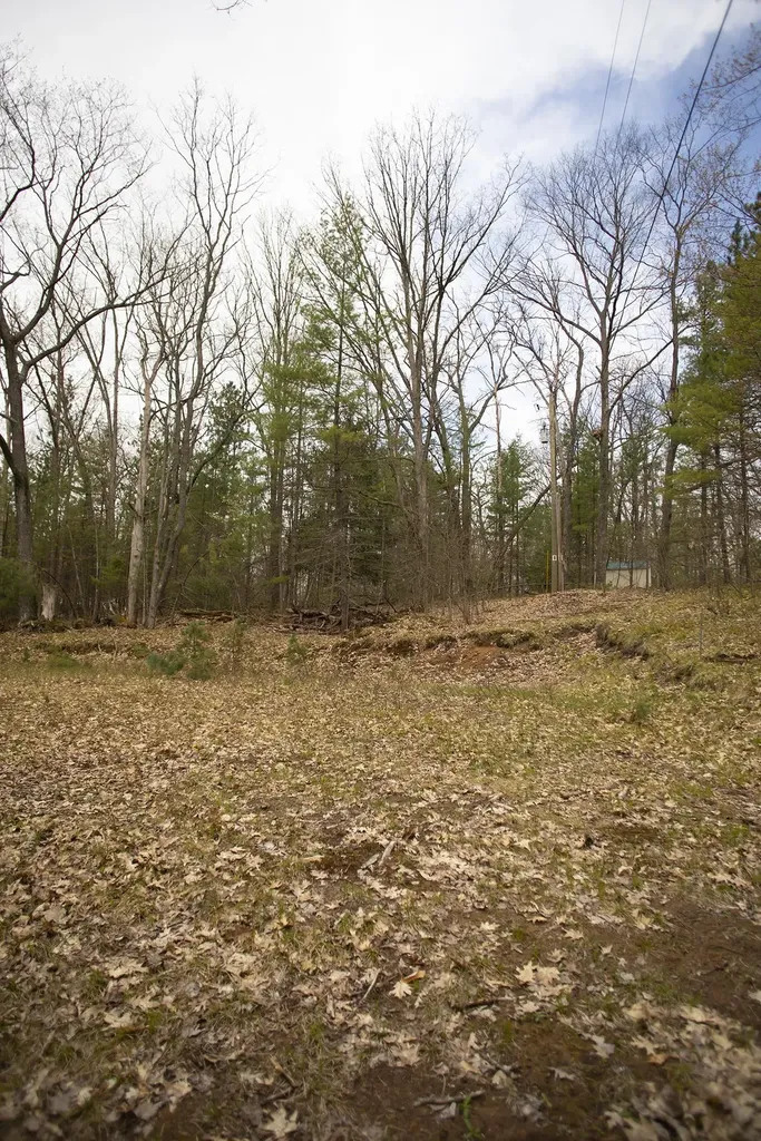 00 NE Bailey Street Bear Lake Township MI 49646