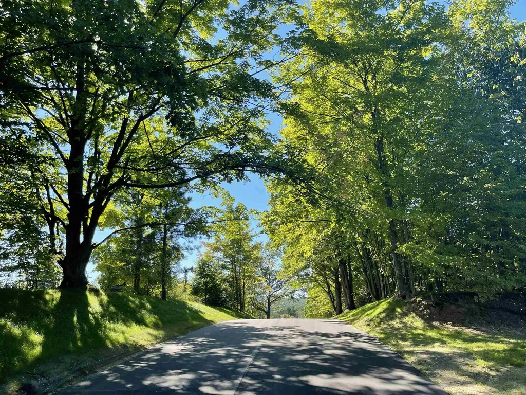 5956 Stagecoach Road Paradise Township MI 49649
