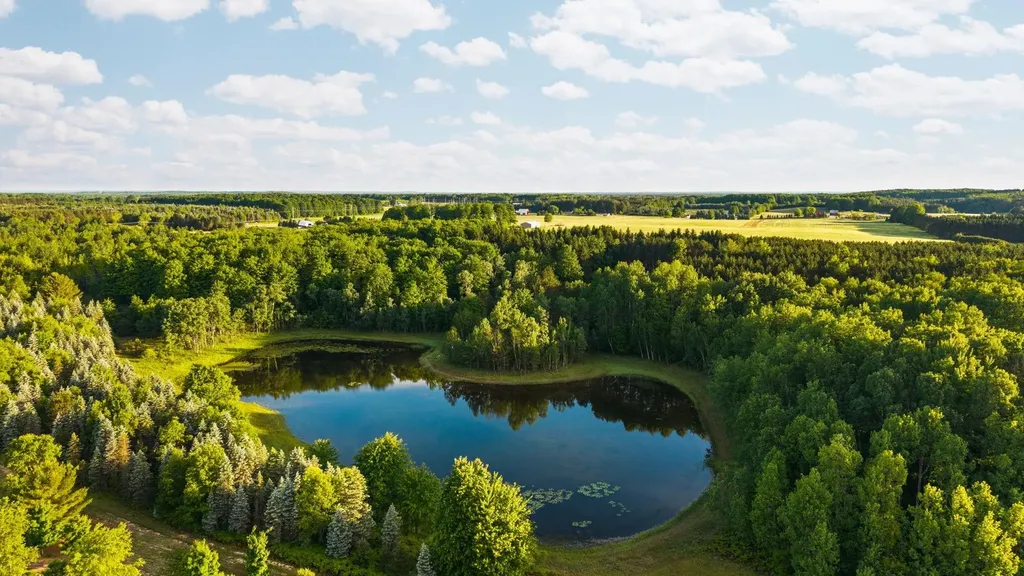 5500 Ryckman Road Orange Township MI 49680