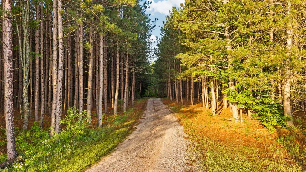 5500 Ryckman Road Orange Township MI 49680