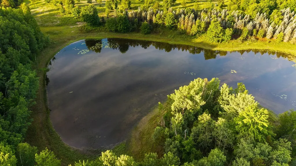 5500 Ryckman Road Orange Township MI 49680
