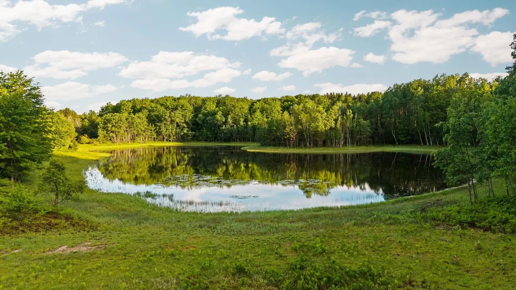 5500 Ryckman Road Orange Township MI 49680