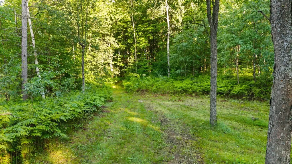 5500 Ryckman Road Orange Township MI 49680