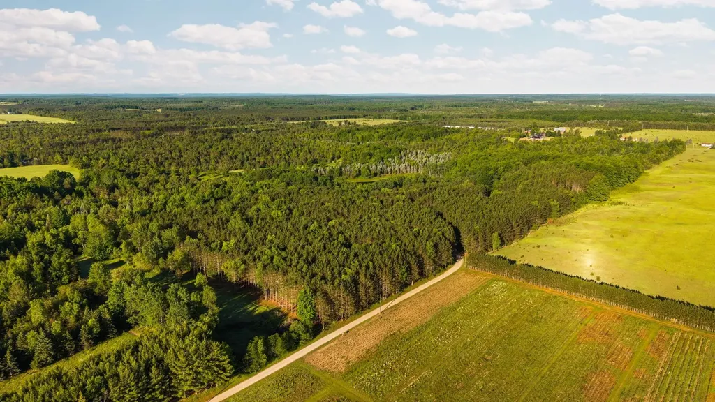 5500 Ryckman Road Orange Township MI 49680