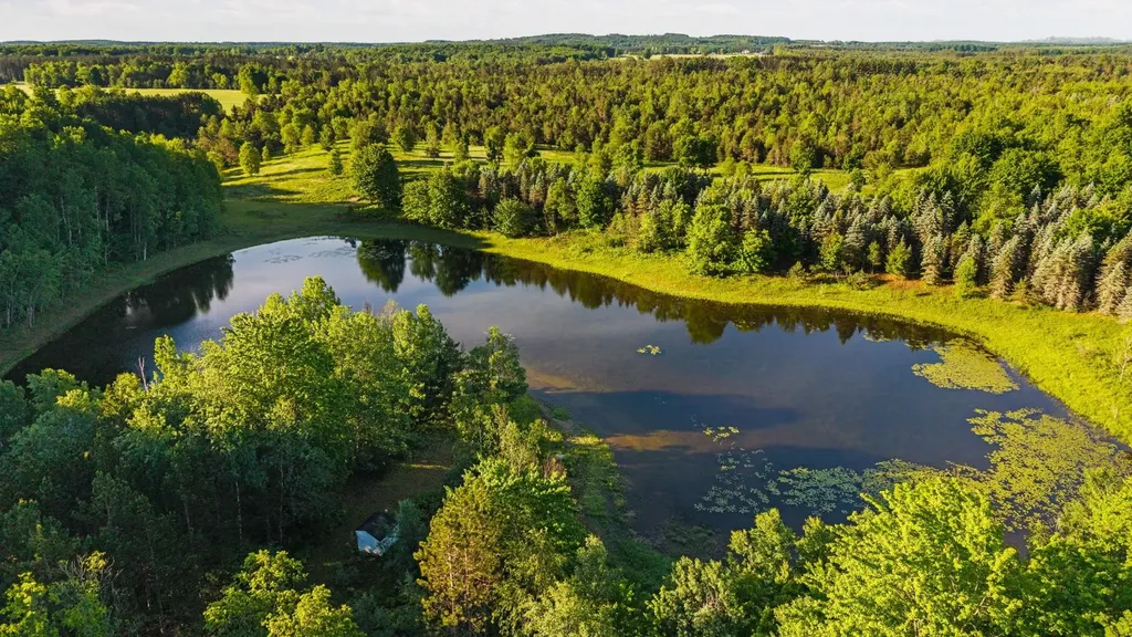 5500 Ryckman Road Orange Township MI 49680
