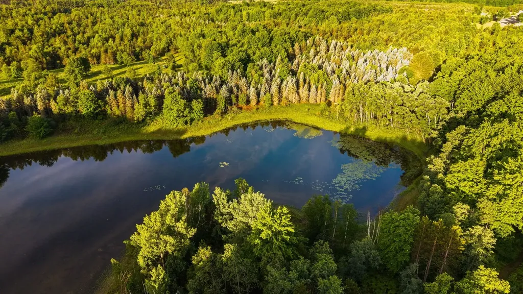 5500 Ryckman Road Orange Township MI 49680