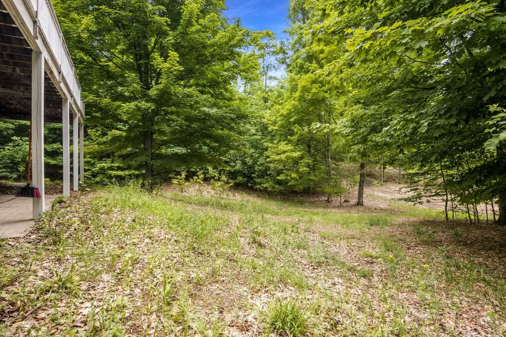 11770 S Mistys Trail Empire Township MI 49630