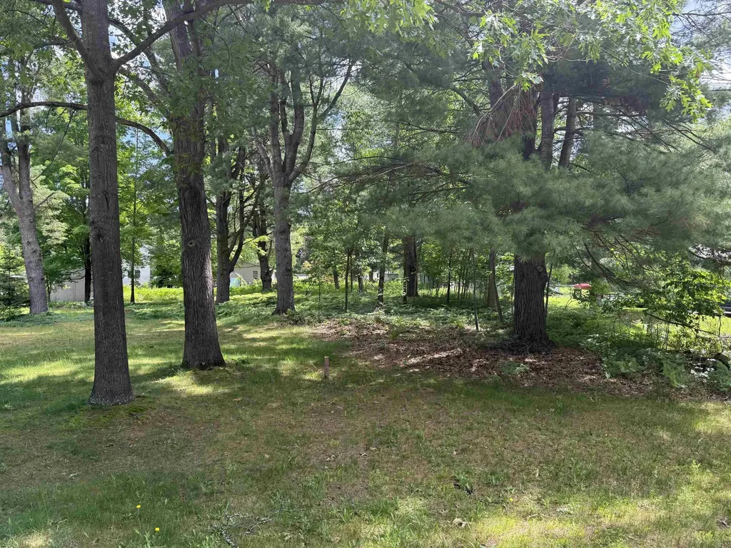 Lot 3 Evelyn Street East Bay Township MI 49686