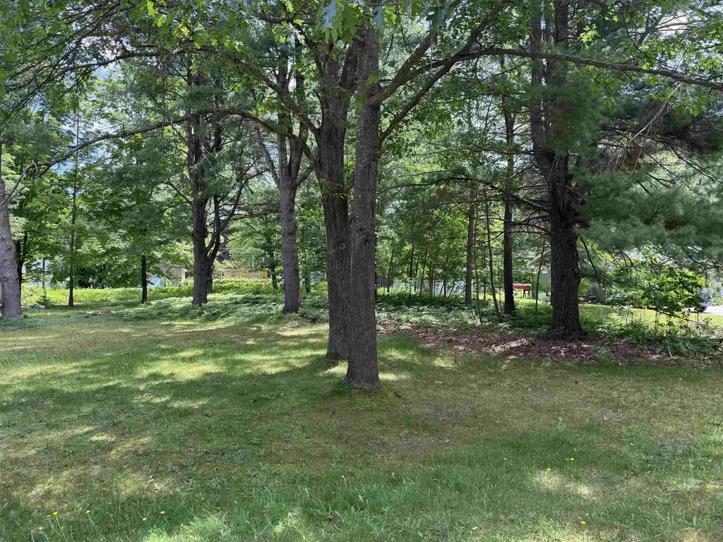 Lot 3 Evelyn Street East Bay Township MI 49686