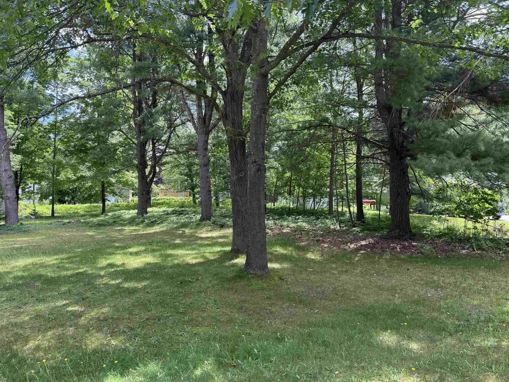 Lot 3 Evelyn Street East Bay Township MI 49686