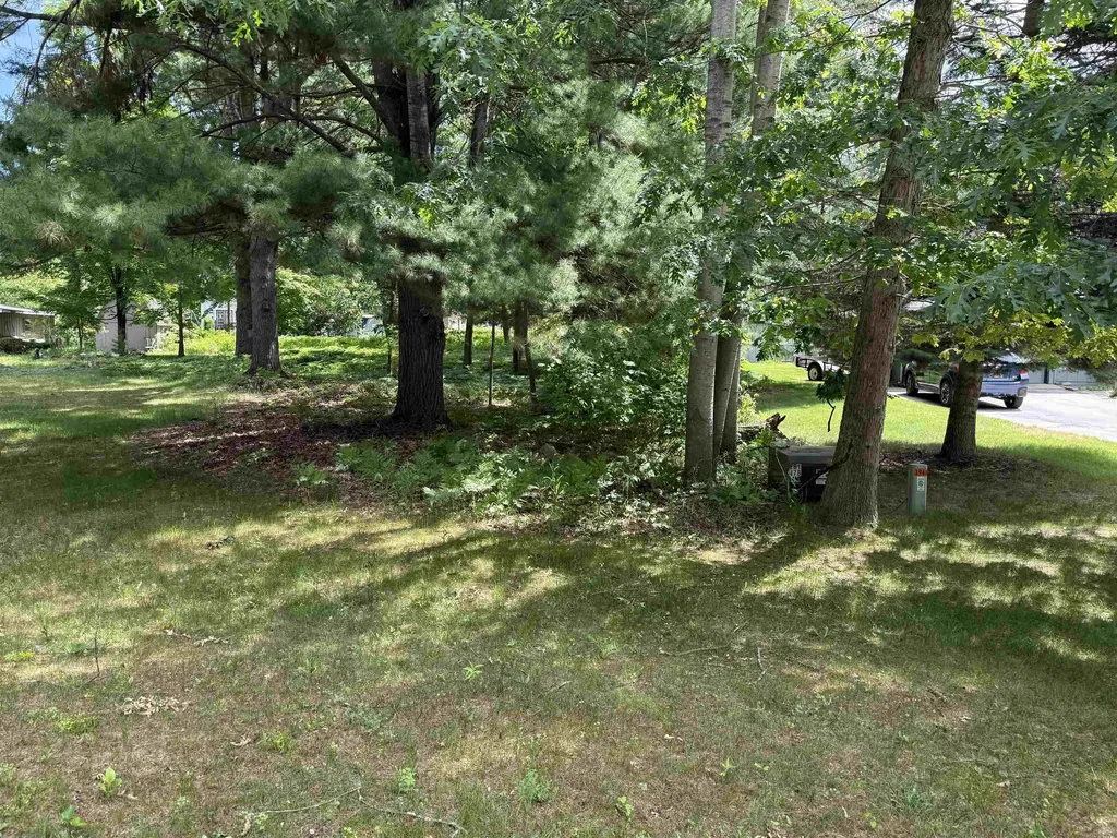 Lot 3 Evelyn Street East Bay Township MI 49686