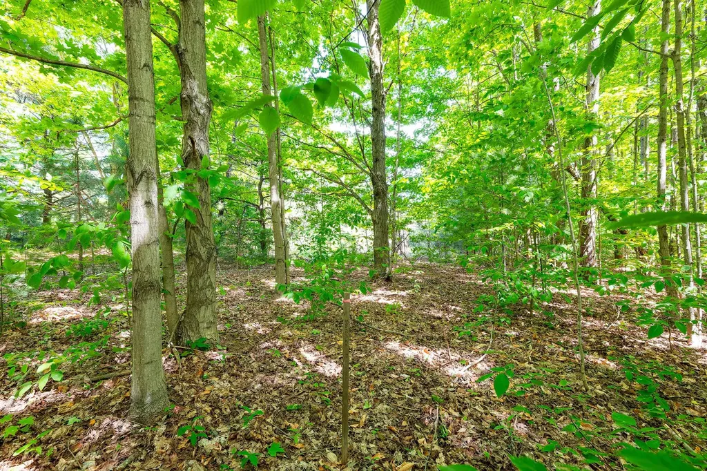 7764 S Weldon Road Weldon Township MI 49683