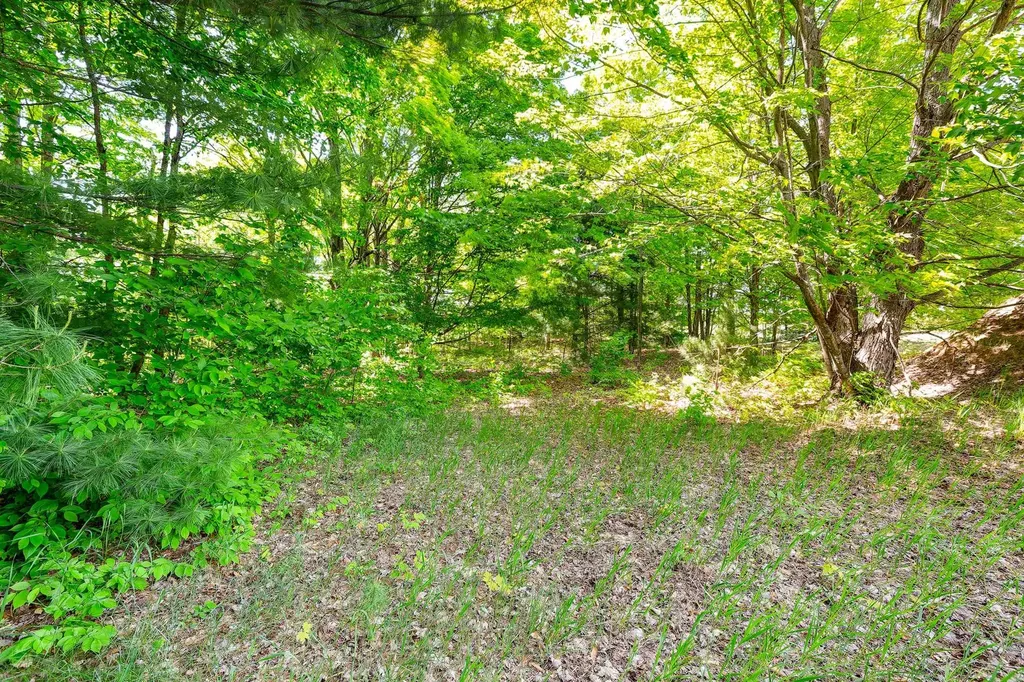 7764 S Weldon Road Weldon Township MI 49683