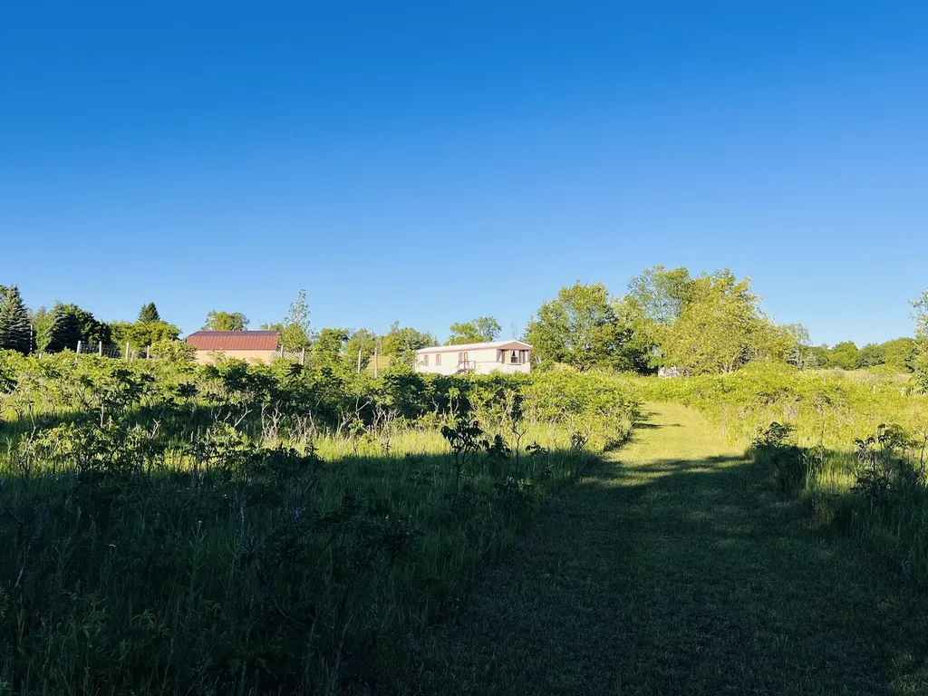 13845 70th Avenue Hartwick Township MI 49631