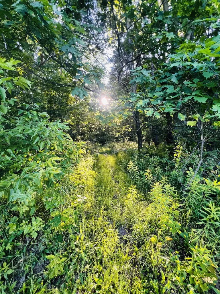 13845 70th Avenue Hartwick Township MI 49631