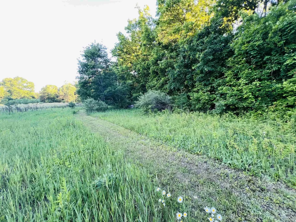13845 70th Avenue Hartwick Township MI 49631