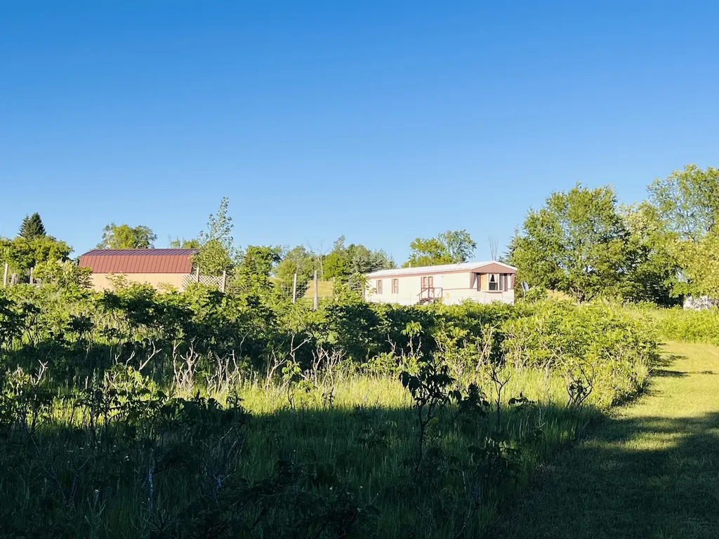 13845 70th Avenue Hartwick Township MI 49631