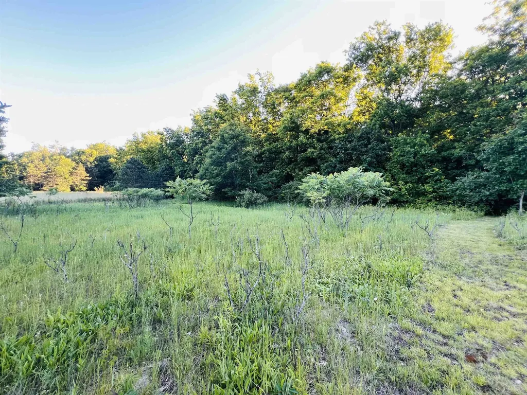 13845 70th Avenue Hartwick Township MI 49631