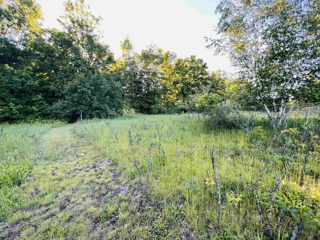 13845 70th Avenue Hartwick Township MI 49631