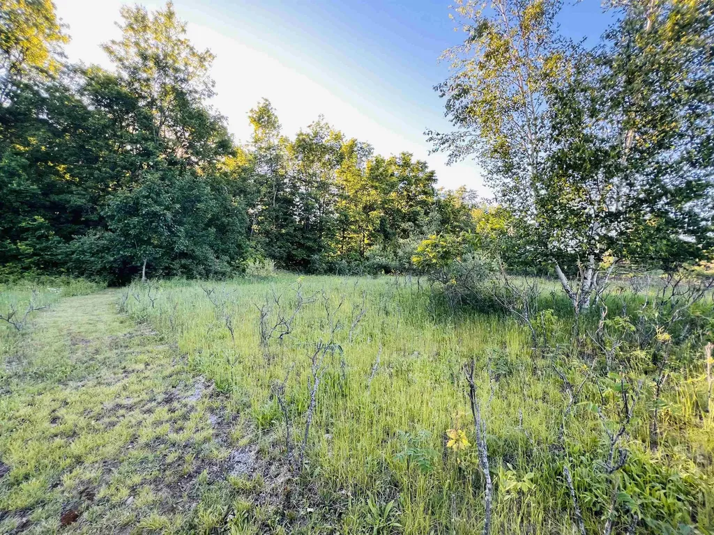 13845 70th Avenue Hartwick Township MI 49631