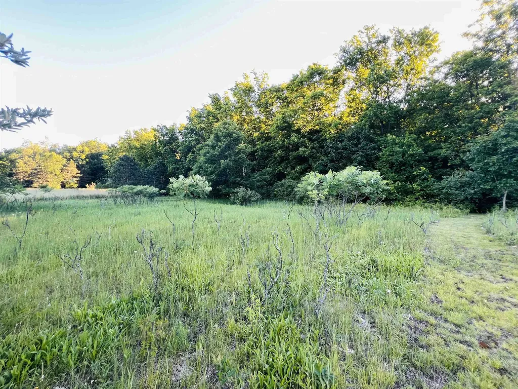 13845 70th Avenue Hartwick Township MI 49631