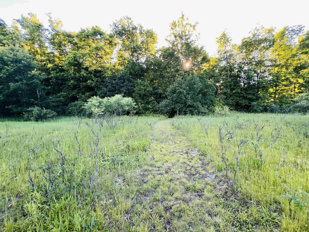 13845 70th Avenue Hartwick Township MI 49631