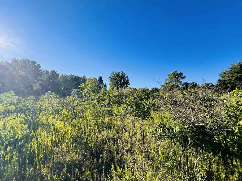 13845 70th Avenue Hartwick Township MI 49631