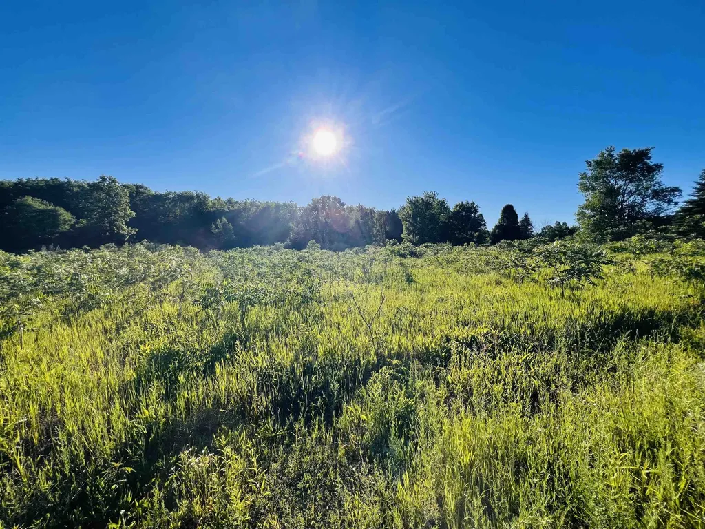 13845 70th Avenue Hartwick Township MI 49631