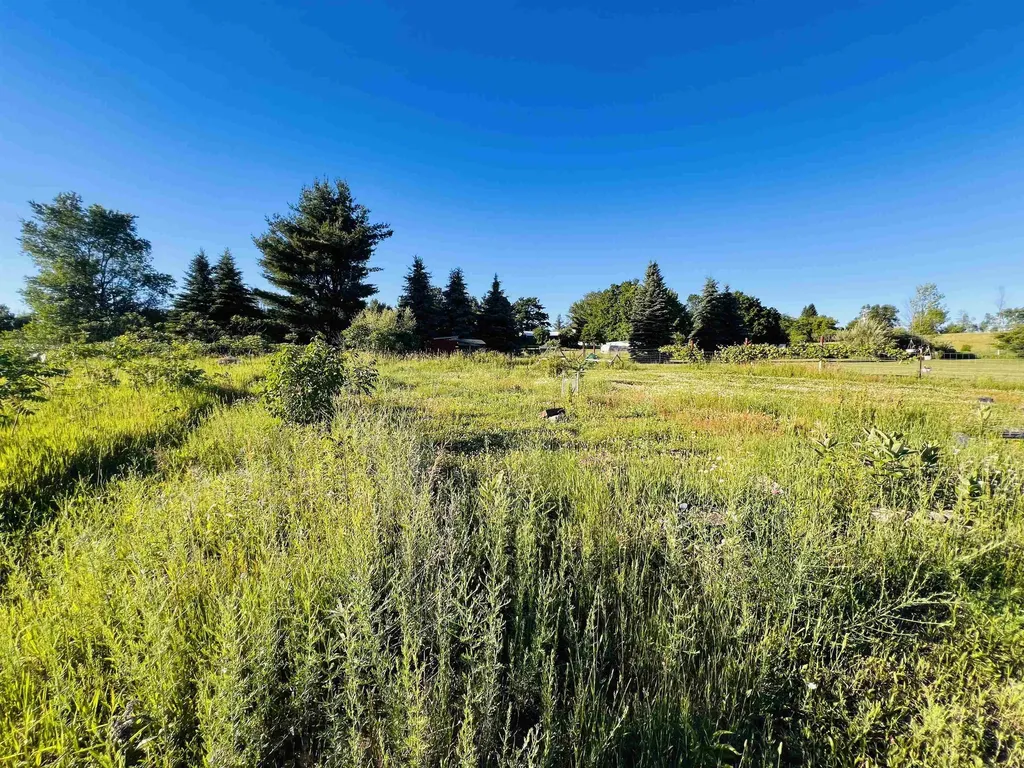 13845 70th Avenue Hartwick Township MI 49631