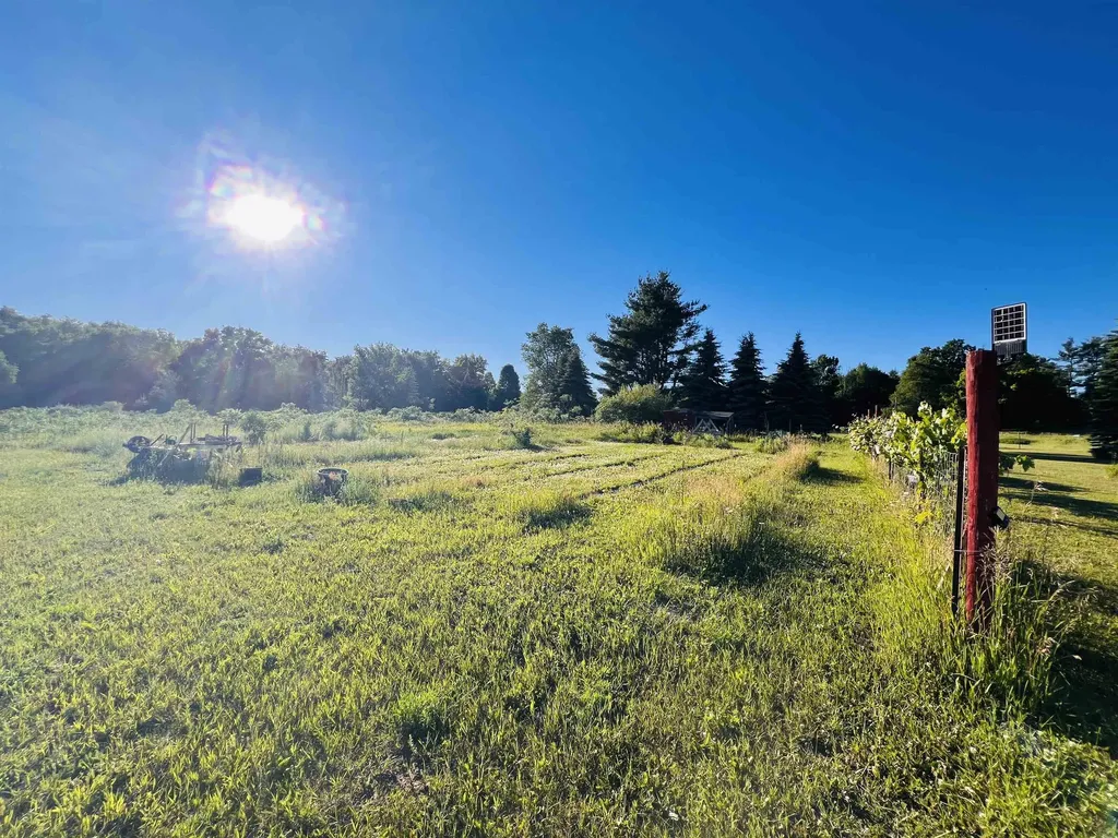 13845 70th Avenue Hartwick Township MI 49631