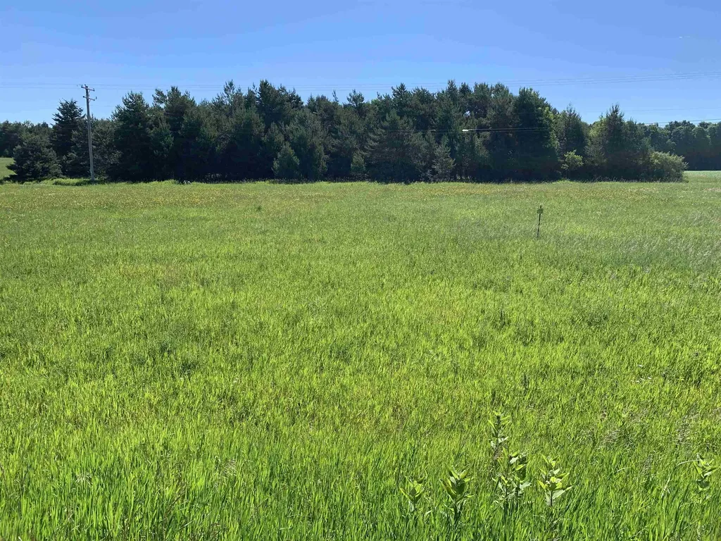 M-37 Mayfield Township MI 49620
