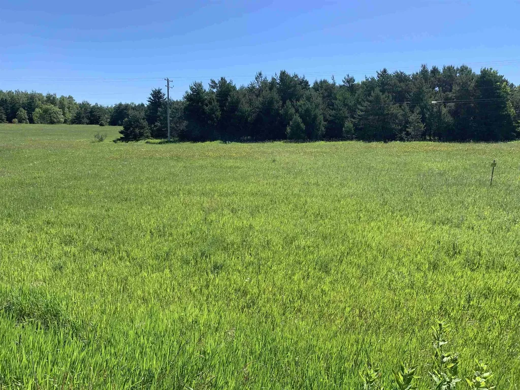 M-37 Mayfield Township MI 49620