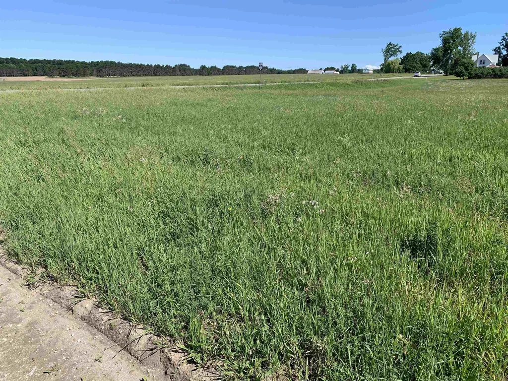M-37 Mayfield Township MI 49620