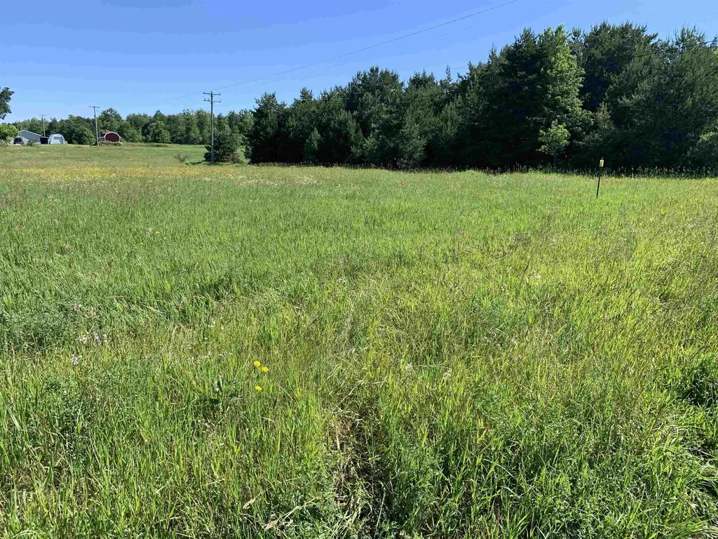 M-37 Mayfield Township MI 49620