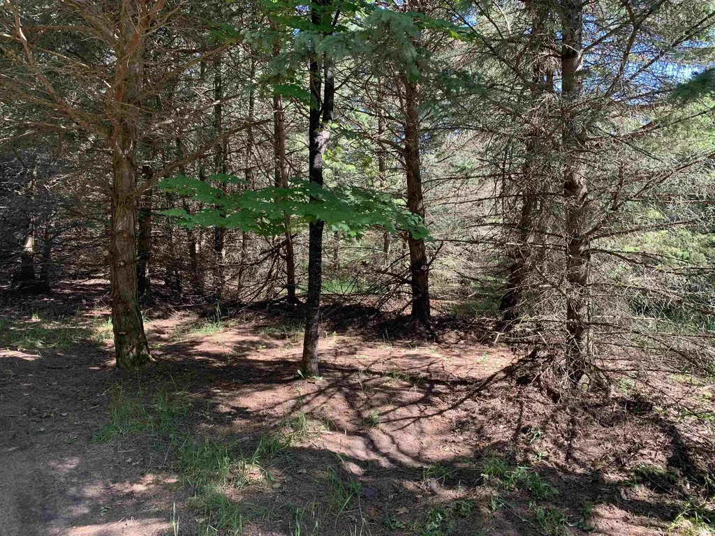 M-37 Mayfield Township MI 49620