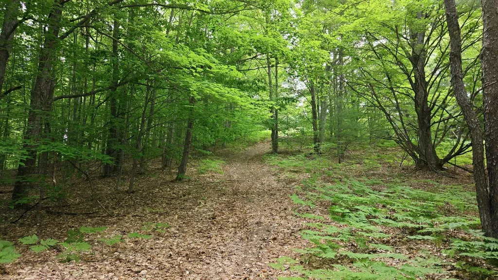3982 SE Mitchell Road Orange Township MI 49646
