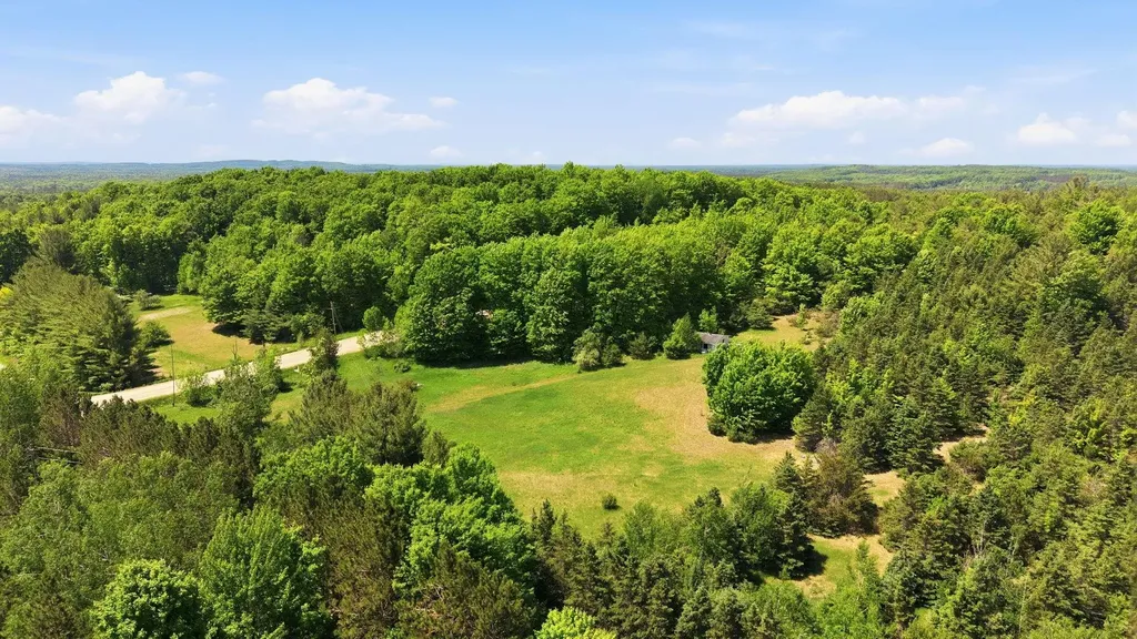 3982 SE Mitchell Road Orange Township MI 49646
