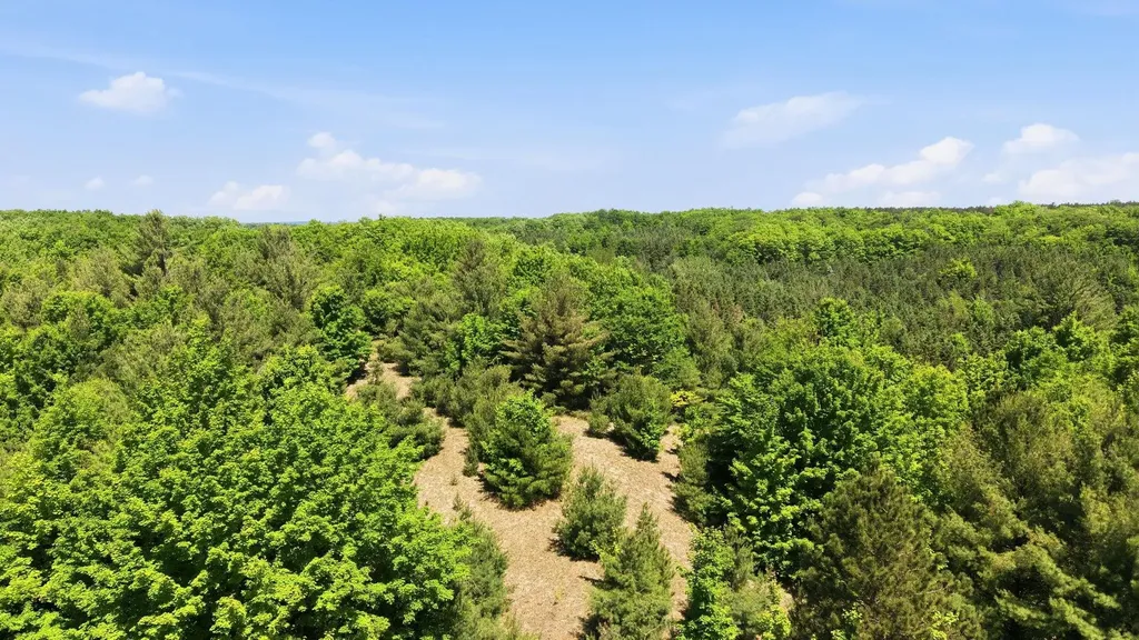 3982 SE Mitchell Road Orange Township MI 49646