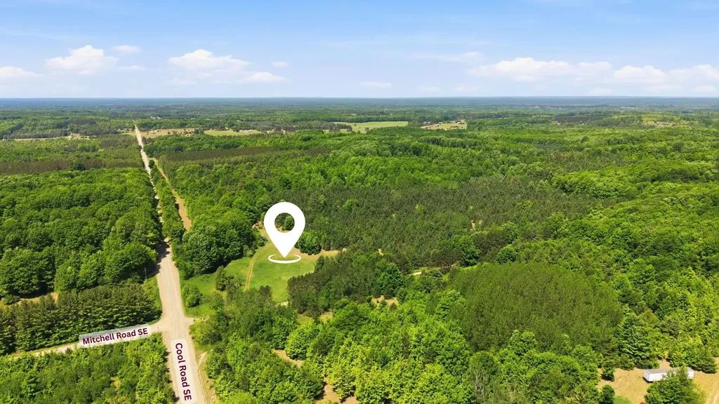 3982 SE Mitchell Road Orange Township MI 49646