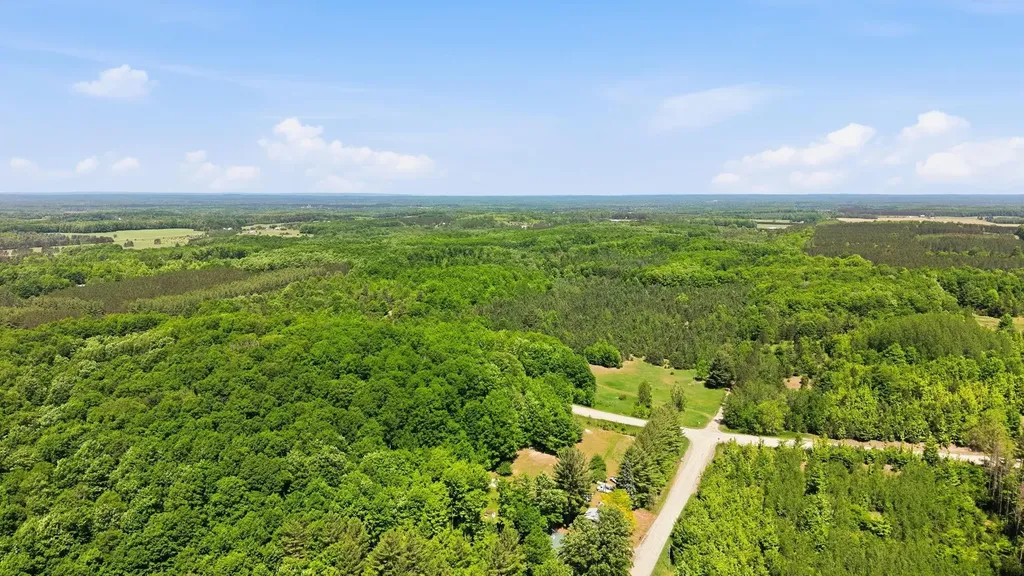 3982 SE Mitchell Road Orange Township MI 49646
