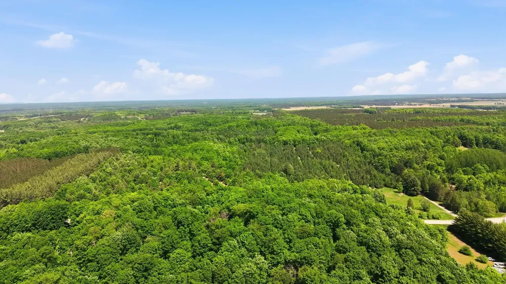 3982 SE Mitchell Road Orange Township MI 49646