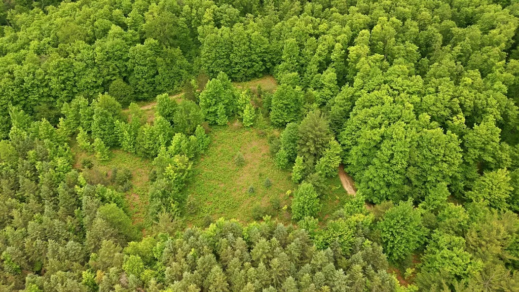 3982 SE Mitchell Road Orange Township MI 49646