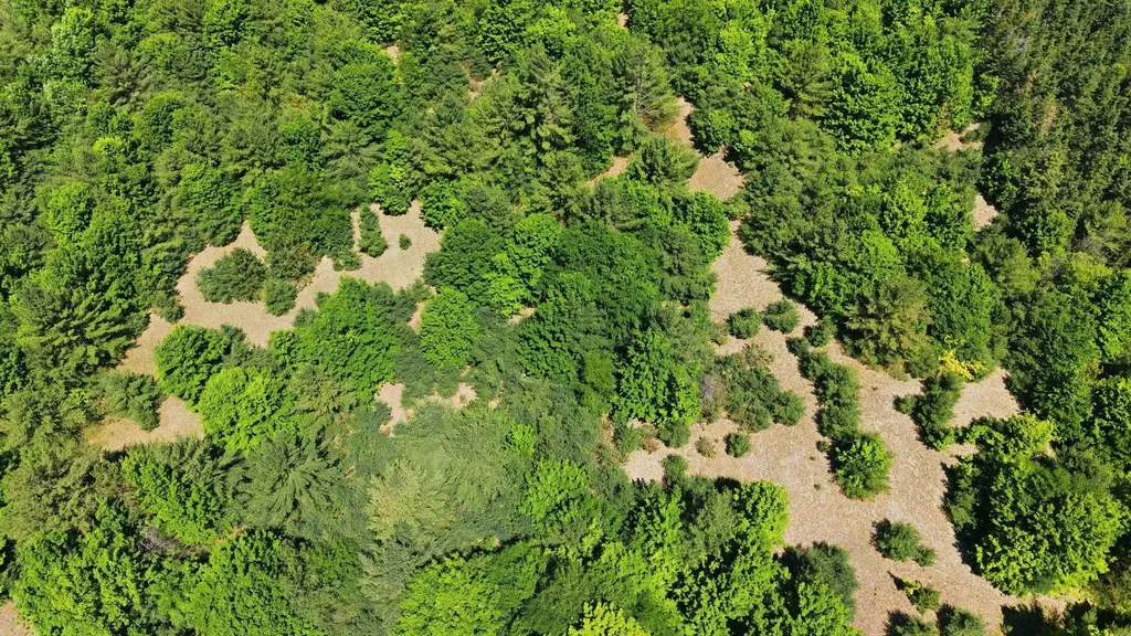 3982 SE Mitchell Road Orange Township MI 49646