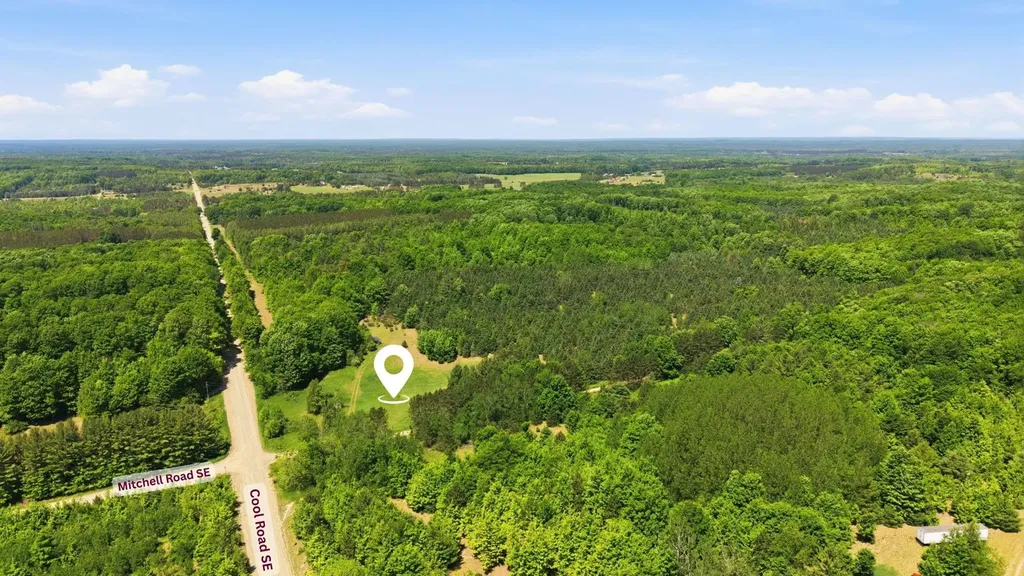 3982 SE Mitchell Road Orange Township MI 49646