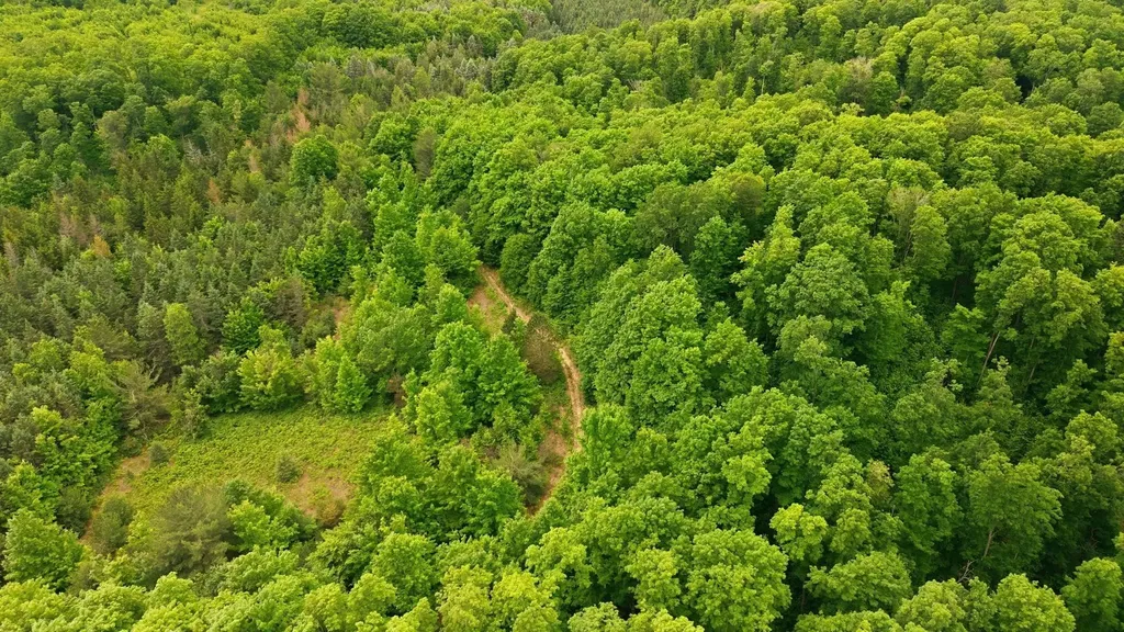 3982 SE Mitchell Road Orange Township MI 49646