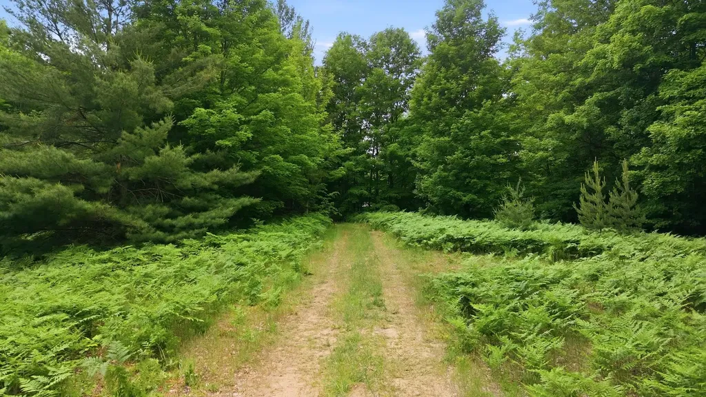 3982 SE Mitchell Road Orange Township MI 49646