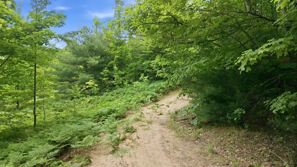 3982 SE Mitchell Road Orange Township MI 49646